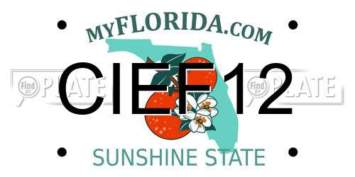 CIEF12 Florida License Plate