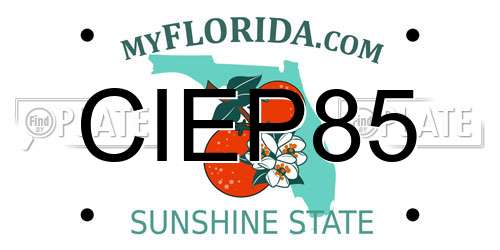CIEP85 Florida License Plate