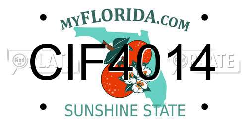 CIF4014 Florida License Plate