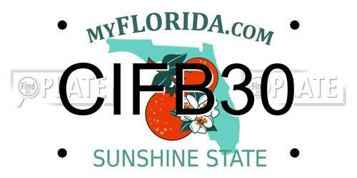CIFB30 Florida License Plate