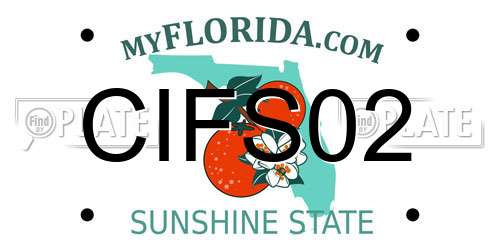CIFS02 Florida License Plate