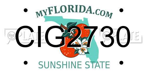 CIG2730 Florida License Plate