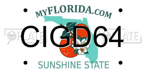 CIGD64 Florida License Plate