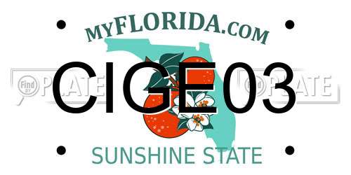 CIGE03 Florida License Plate