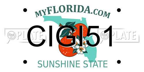 CIGI51 Florida License Plate