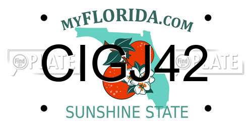 CIGJ42 Florida License Plate