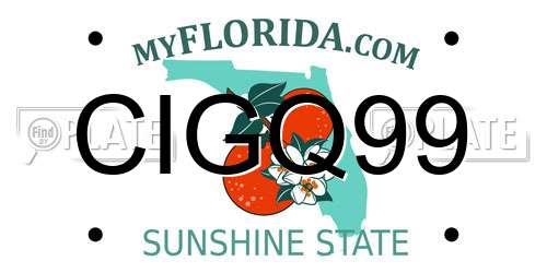 CIGQ99 Florida License Plate