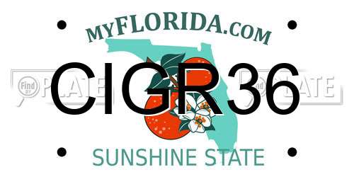 CIGR36 Florida License Plate