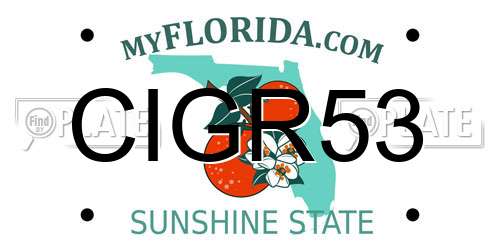 CIGR53 Florida License Plate