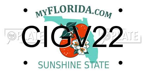 CIGV22 Florida License Plate