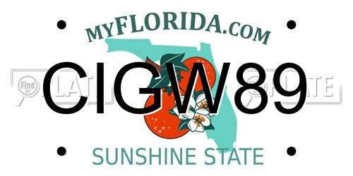 CIGW89 Florida License Plate
