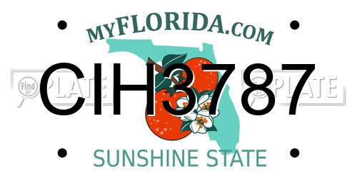 CIH3787 Florida License Plate