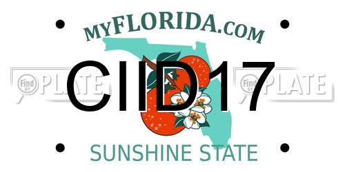 CIID17 Florida License Plate