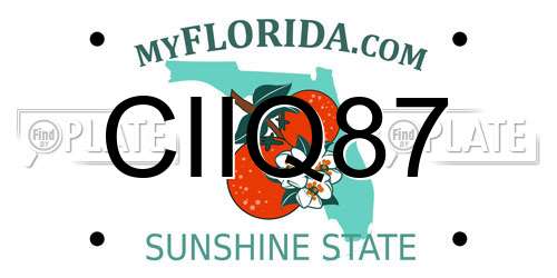 CIIQ87 Florida License Plate