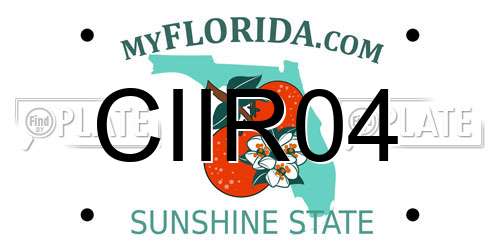 CIIR04 Florida License Plate