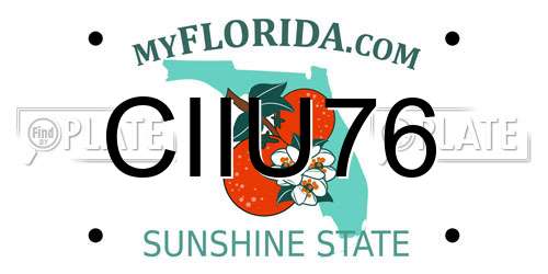CIIU76 Florida License Plate