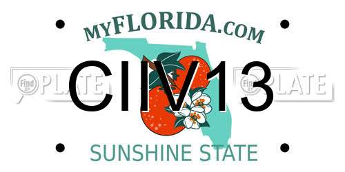CIIV13 Florida License Plate