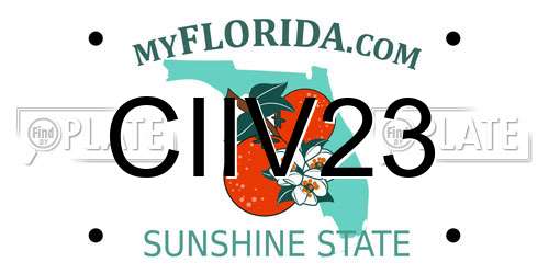 CIIV23 Florida License Plate