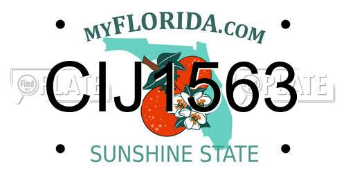 CIJ1563 Florida License Plate