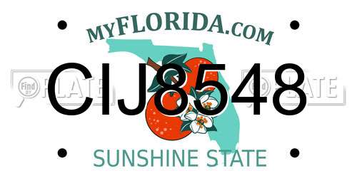 CIJ8548 Florida License Plate