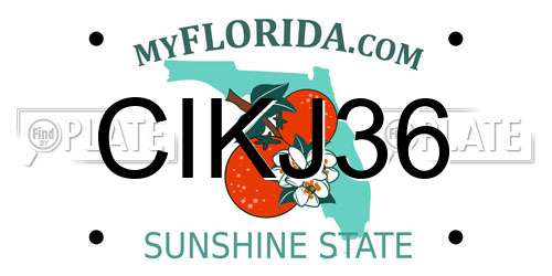 CIKJ36 Florida License Plate