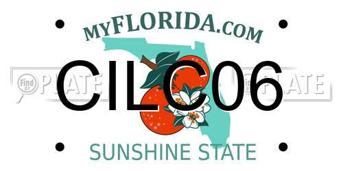 CILC06 Florida License Plate