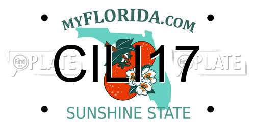 CILI17 Florida License Plate