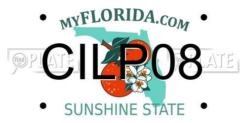 CILP08 Florida License Plate