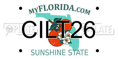CILT26 Florida License Plate