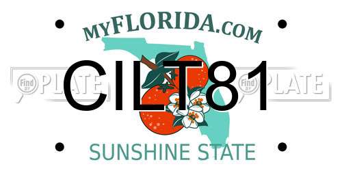 CILT81 Florida License Plate