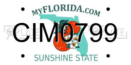 CIM0799 Florida License Plate