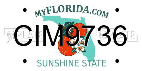 CIM9736 Florida License Plate