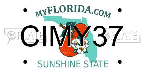 CIMY37 Florida License Plate