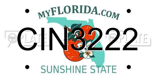 CIN3222 Florida License Plate