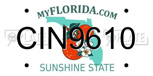 CIN9610 Florida License Plate