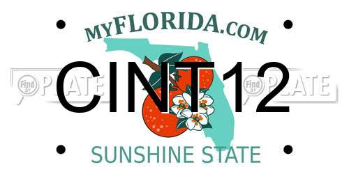 CINT12 Florida License Plate