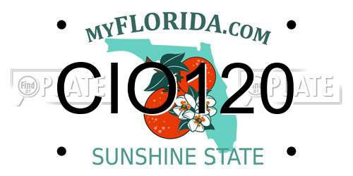 CIO120 Florida License Plate