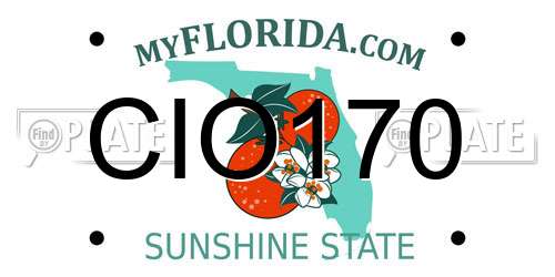 CIO170 Florida License Plate