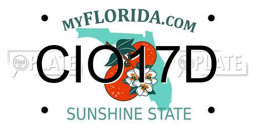 CIO17D Florida License Plate