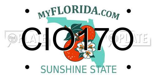 CIO17O Florida License Plate