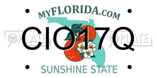 CIO17Q Florida License Plate