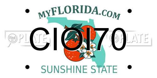 CIOI70 Florida License Plate