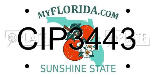 CIP3443 Florida License Plate