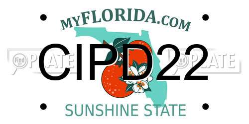 CIPD22 Florida License Plate