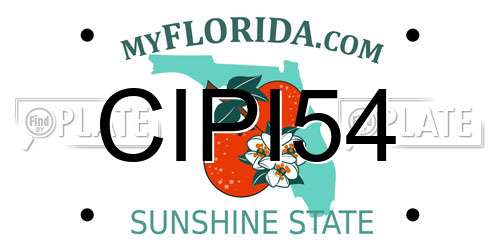 CIPI54 Florida License Plate