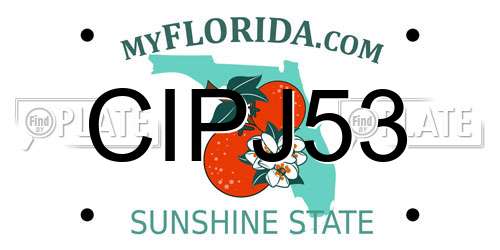 CIPJ53 Florida License Plate