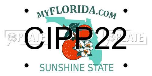 CIPP22 Florida License Plate