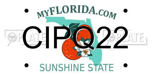 CIPQ22 Florida License Plate