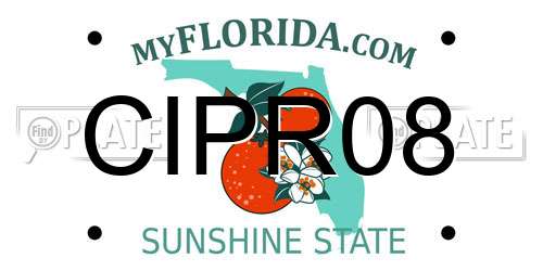CIPR08 Florida License Plate