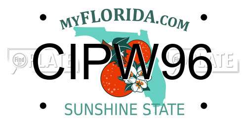 CIPW96 Florida License Plate